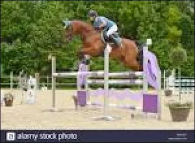 Comment s'appelle cet obstacle ?