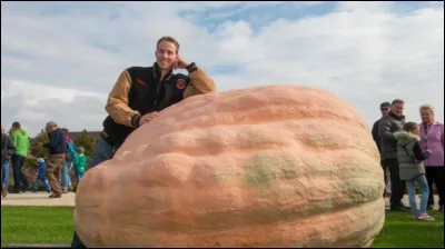 Combien pèse (environ) la plus lourde citrouille au monde ?