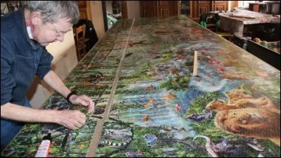 Quelle est la superficie (environ) du plus grand puzzle du monde ?