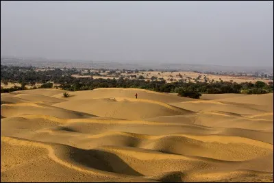Le désert du Thar se trouve en Arabie.