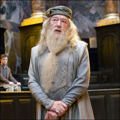Quel est ton passage préféré d'Albus Dumbledore ?