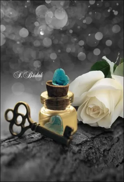 Qui est l'auteur du livre "Les Clés du royaume" ?