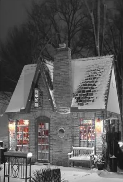 Qui a écrit le roman policier "La Maison envahie" ?