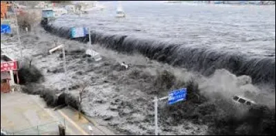 Qu voyez-vous sur cette image ?