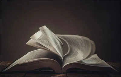 Quel est votre auteur préféré ?