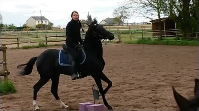 À quelle main est ce cheval ?