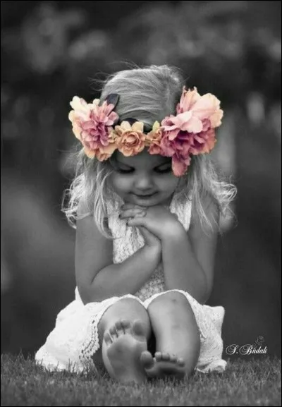 À qui Francis Cabrel a-t-il dédicacé la chanson "Petite Marie" ?