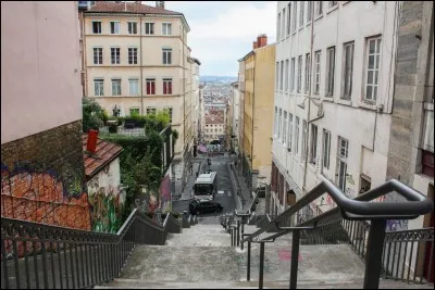 Comment se nomme la voie situ&eacute;e dans le 1er arrondissement, qui relie les Terreaux au plateau de la Croix-Rousse ?