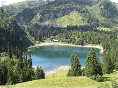 Qu'est-ce qu'un "palaak paneer" ?