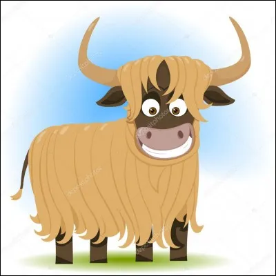 Où a lieu le festival d'Aurillac ?