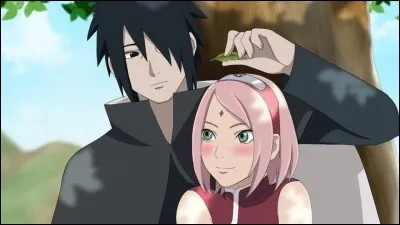 Que sont Sakura et Sasuke pour Naruto ?