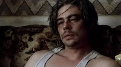 Qui joue aux côtés de Benicio del Toro dans le film "21 grammes" ?