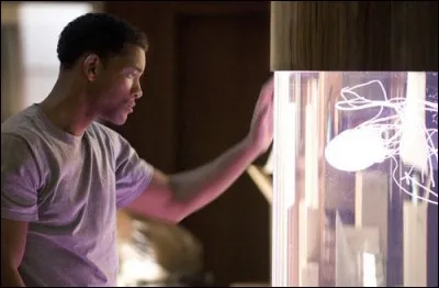 Dans quel film Will Smith alias Ben Thomas essaye-t-il d'améliorer la vie de personnes choisies au hasard ?