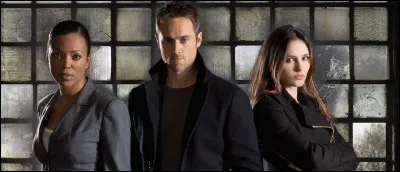 Quelle bande dessinée belge scénarisée par Jean Van Hamme a été adaptée au cinéma et à la télévision ?