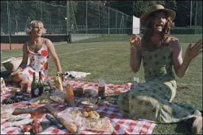 Dans quel film pouvez-vous voir Michaël Youn et sa bande relever des défis plus débiles les uns que les autres ?