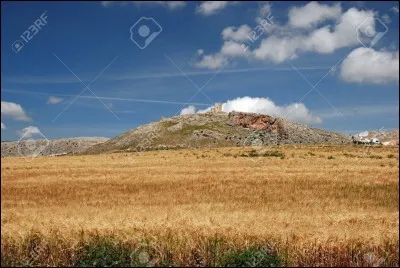 Complétez ce dicton : "Si point ne veut de blé charbonneux..."