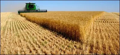 De quelle origine est ce proverbe : "Quand il y aura du blé, la mesure se trouvera." ?