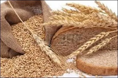 De combien de personnes est composé le groupe Blé ?