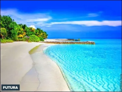 Que fais-tu à la plage ?