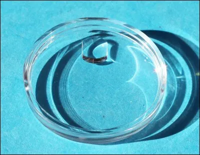 Pour vérifier qu'un liquide contient de l'eau, j'en verse quelques gouttes sur du sulfate de cuivre déposé dans...