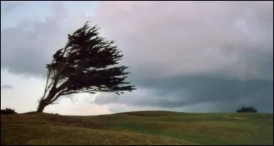 Cliquez sur le nom d'un vent.