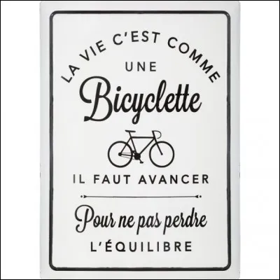 Aujourd'hui, le 13 janvier 2019, c'est mon anniversaire. J'ai désormais 14 ans et j'ai beaucoup pris en maturité. Je décris mon passé avec une seule et unique phrase ; "La vie, c'est comme une bicyclette, il faut avancer pour ne pas perdre l'équilibre."