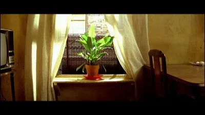 Où est plantée la plante de Léon, à la fin du film ?