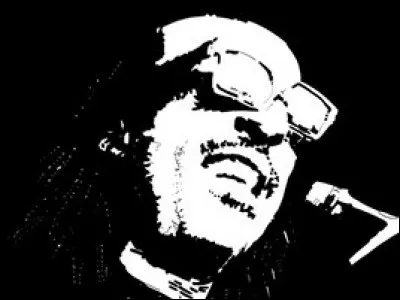 Le très talentueux Stevie Wonder a chanté cette chanson qui porte bien son nom...