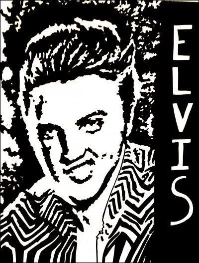 Le King du rock and roll nous a enchantés avec cette chanson romantique...