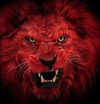 En 2018, dans quel sport collectif l'équipe nationale belge surnommée les "Red Lions" sont-ils devenus champion du monde après avoir éliminé successivement l'Allemagne et les Pays-Bas ?