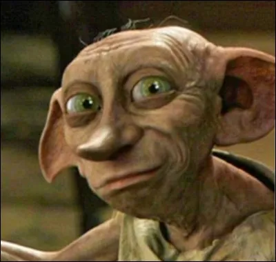 Dans le film : " Harry Potter et la Chambre des secrets ", comment Dobby retrouve-t-il sa liberté ?