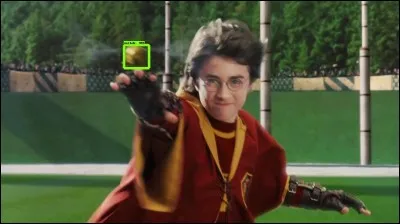 Dans les livres, Ron devient gardien de l'équipe de Quidditch de Gryffondor pendant sa 5ème année à Poudlard, mais dans les films, à partir de quelle année le devient-il ?