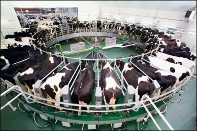 À quoi sert cette machine ?