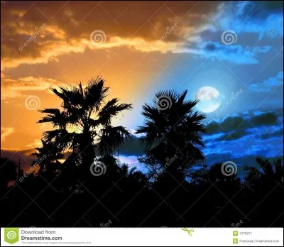 Quel est ton moment préféré de la journée ?