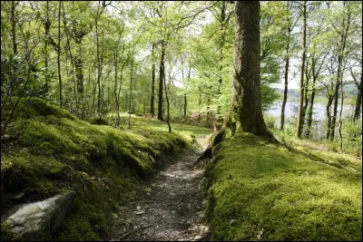 Au nord de l'Aisne, nous pouvons trouver du maroilles.Qu'est-ce que c'est ?