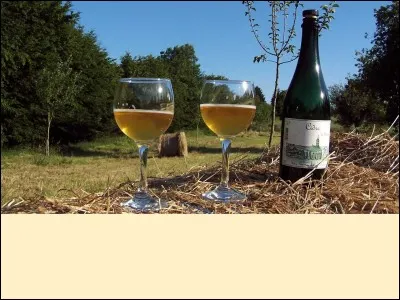 Nous pouvons &eacute;galement trouver le vinaigre de cidre d'une r&eacute;gion historique de l'Aisne.Laquelle ?