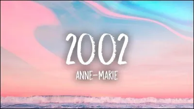 Cette société a été créé en 2002 :