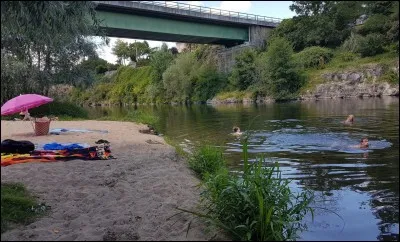 Je vous demande la superficie de l'Allier.