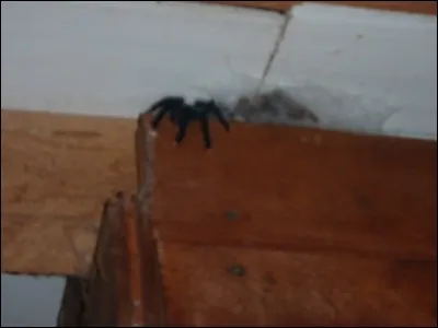 L'un des quartiers de Manhattan, à New-york !