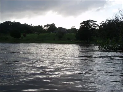 Jument qui marche l'amble, autrefois monture de dame !