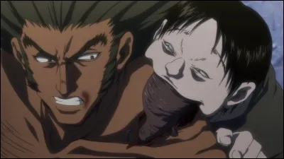 Combien y a-t-il de Bêtes de l'Ombre en tout ?