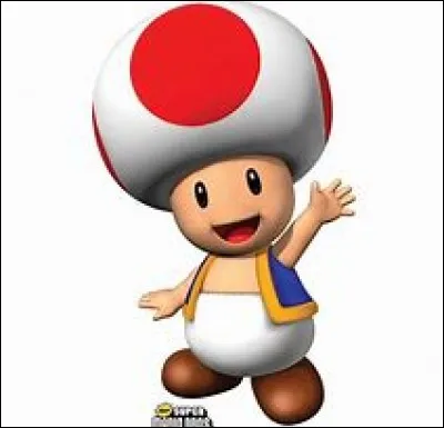 Quel est ce personnage ?