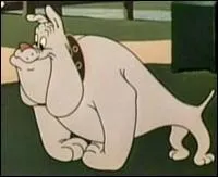Qui est ce bouledogue ?