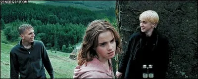 Dans ''Le prisonnier d'Azkaban'' Hermione donne un coup de poing &agrave; Drago mais pourquoi ?