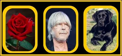 Faites le bon choix !