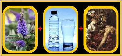 Faites le bon choix !