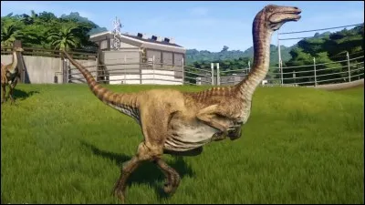 Quelle est l'orthographe exacte de ce dinosaure ?