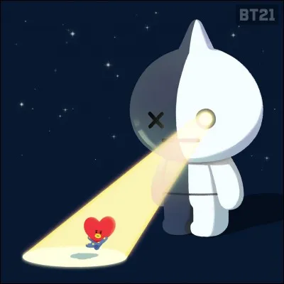 Que repr&eacute;sente le BT21 Van ?