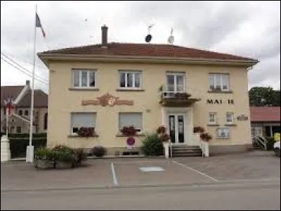 Quel est le gentilé des habitants de Réchicourt-le-Château (Moselle), village connu pour sa grande écluse.