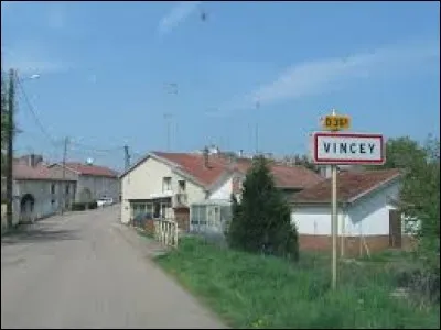 Comment se nomment les habitants de Vincey (Vosges) ?